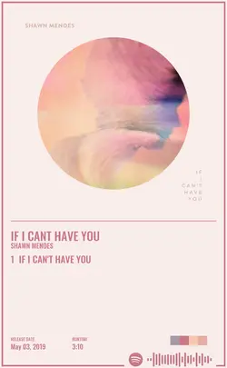 Shawn Mendes - If I Cant Have You.jpg
